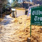 Gilbert Nature Trail Tourism in Kasauli, Himachal Pradesh