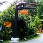 Gamgul Siyabehi Wildlife Sanctuary Places To visit in Chamba, Himachal Pradesh